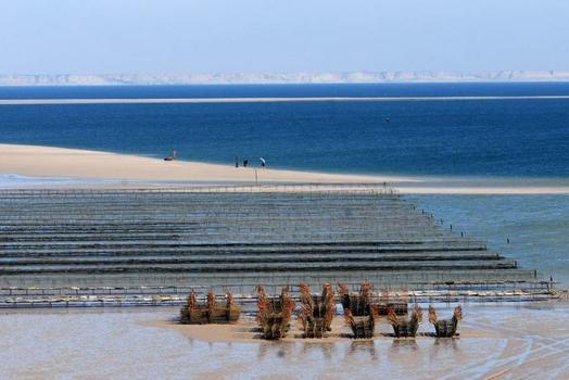 Parc à huîtres dans la lagune de Dakhla